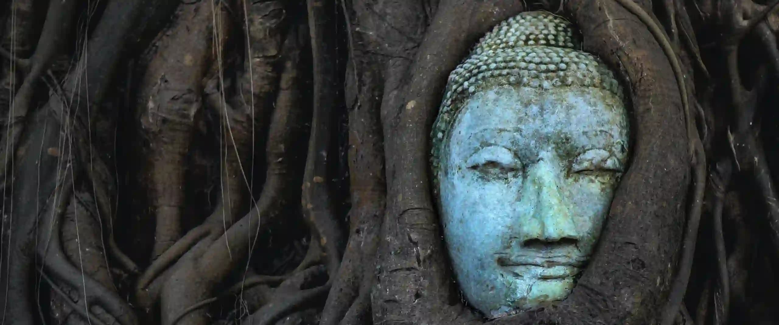 vidyasena header background